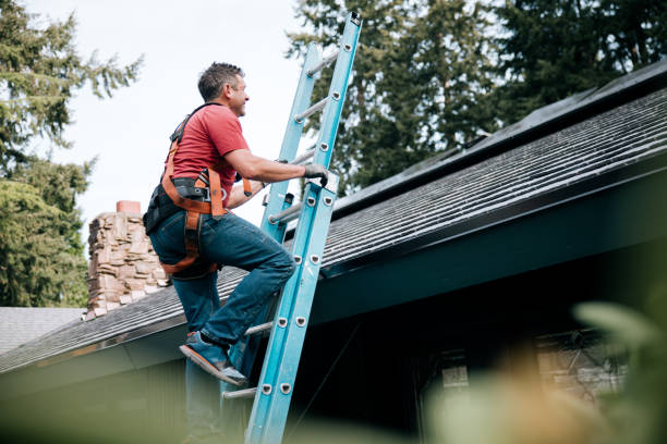 Trusted Hayward, WI Roofing Experts